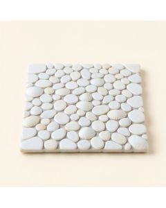 Shore 1 '' X 1 '' Seashell Mosaic Tile (synthetic illustration; no displayed measurements)