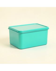 Neves Tin Bread Box (synthetic illustration; no displayed measurements)