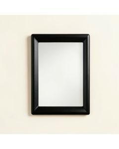 Flint Branch Framed Wall Mirror - Black (synthetic illustration; no displayed measurements)