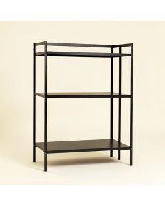 Ash Brook Empty Seed-Starting Shelving Unit Without Lights - Black (synthetic illustration; no displayed measurements)