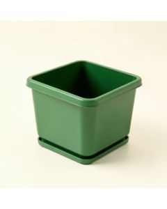 Linden Branch Empty Planter - Green (synthetic illustration; no displayed measurements)
