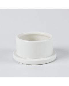 Cedar Branch Empty Candle Holder - White (synthetic illustration; no displayed measurements)