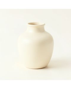 Field Branch Empty Decorative Vase - Cream (synthetic illustration; no displayed measurements)