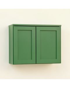 Stone Crossing Wall-Mounted Entry Cabinet - Green (synthetic illustration; no displayed measurements)
