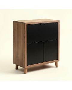 Dishon Bar Cabinet (synthetic illustration; no displayed measurements)