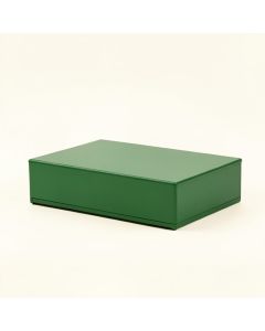 Reed Bluff Desktop Monitor Riser - Green (synthetic illustration; no displayed measurements)