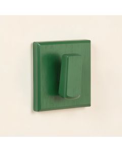 Aspen Brook Wall-Mounted Robe Hook - Green (synthetic illustration; no displayed measurements)
