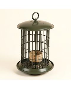 Forever 3 Quart Sunflower Nyjer/Thistle Feeder (synthetic illustration; no displayed measurements)