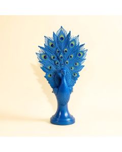 Prized Peacock Trophy Wall Décor (synthetic illustration; no displayed measurements)