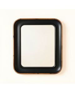Fern Canyon Framed Wall Mirror - Black (synthetic illustration; no displayed measurements)