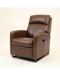 Abeeda 33.1 '' Wide Power Lift Assist Recliner (synthetic illustration; no displayed measurements)