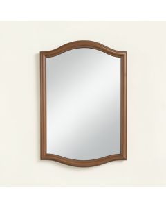 Elevate Bathroom / Vanity Mirror (synthetic illustration; no displayed measurements)