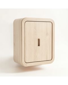 Slate Crossing Wall-Mounted Laundry Cabinet - Beige (synthetic illustration; no displayed measurements)