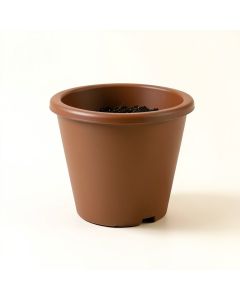 Aashi Self-Watering Plastic Elevated Planter (synthetic illustration; no displayed measurements)