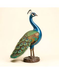 Pratt Metal Standing Peacock Statue (synthetic illustration; no displayed measurements)