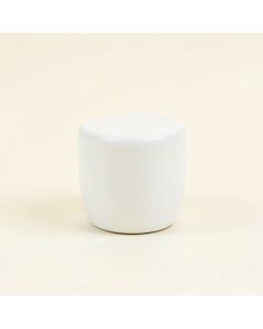 Wren Canyon Cabinet Knob Without Packaging - White (synthetic illustration; no displayed measurements)