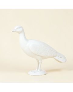 Seaver Peacock (synthetic illustration; no displayed measurements)