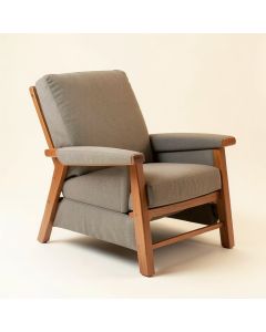 Toler 37.5 '' Wide Power Lift Assist Standard Recliner (synthetic illustration; no displayed measurements)