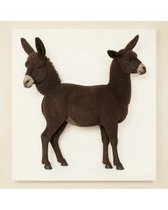 Donkey , Llama , Goat , Sheep By Eli Halpin - Print On Canvas (synthetic illustration; no displayed measurements)