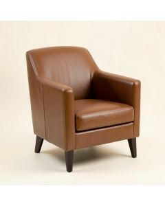 Zosia Upholstered Arm Chair (synthetic illustration; no displayed measurements)
