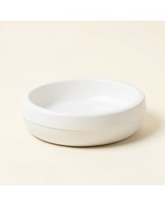 Healthy Pet Automatic Water Dish (synthetic illustration; no displayed measurements)