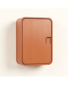 Wren Canyon Wall-Mounted Laundry Cabinet - Terracotta (synthetic illustration; no displayed measurements)