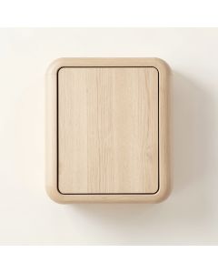 Moss Dale Wall-Mounted Laundry Cabinet - Beige (synthetic illustration; no displayed measurements)