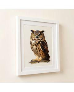 Owl By Pablo Picasso - Picture Frame Print On Paper (synthetic illustration; no displayed measurements)