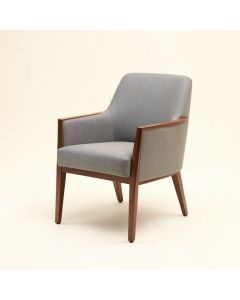 Hiawassee Side Chair (synthetic illustration; no displayed measurements)