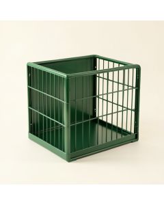 Fern Dale Empty Furniture-Style Pet Crate - Green (synthetic illustration; no displayed measurements)