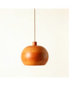Holly Bend Pendant Light Suspended From One Plain Cable - Terracotta (synthetic illustration; no displayed measurements)