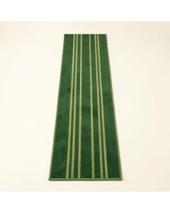 Lake Bluff Narrow Runner Rug - Green (synthetic illustration; no displayed measurements)