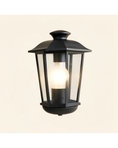 Valeri 11.75 '' H Outdoor Wall Lantern (synthetic illustration; no displayed measurements)