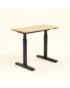 Sabine Height Adjustable Standing Desk (synthetic illustration; no displayed measurements)