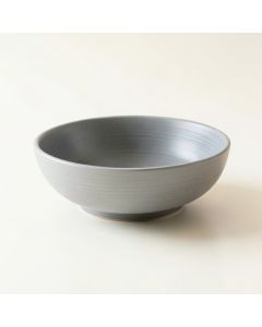 Sage Arc Dining Bowl - Gray (synthetic illustration; no displayed measurements)