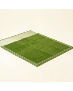 Bay Crossing Rectangular Outdoor Rug - Green (synthetic illustration; no displayed measurements)