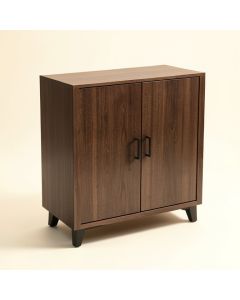 2 Door Accent Cabinet (synthetic illustration; no displayed measurements)