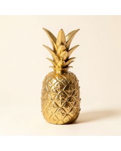 Cristal Gold Pineapple (synthetic illustration; no displayed measurements)