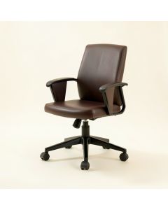 Dunarragan Task Chair (synthetic illustration; no displayed measurements)