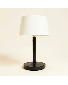 Keystone 19 '' Desk Lamp (synthetic illustration; no displayed measurements)