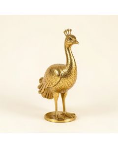 Youngstown Peacock (synthetic illustration; no displayed measurements)