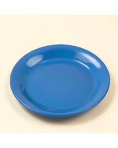 Kalkaska 9 '' Melamine Salad Plate (synthetic illustration; no displayed measurements)