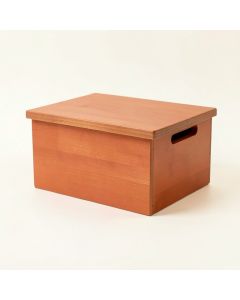 Elm Branch Low Toy Storage Unit - Terracotta (synthetic illustration; no displayed measurements)