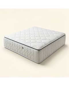 Wayfair Sleep 10 '' Plush Euro Top Innerspring Mattress (synthetic illustration; no displayed measurements)