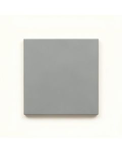 Vale Branch Uninstalled Square Decorative Tile - Gray (synthetic illustration; no displayed measurements)