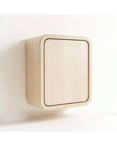 Juniper Bend Wall-Mounted Laundry Cabinet - Beige (synthetic illustration; no displayed measurements)