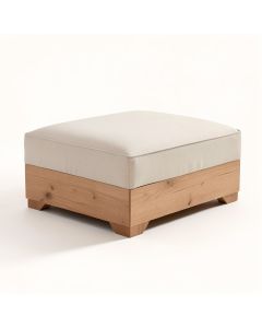 Goldfarb 24 '' Rectangle Standard Ottoman (synthetic illustration; no displayed measurements)