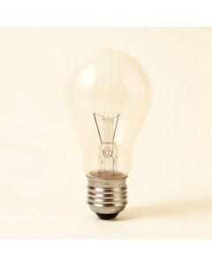 40 Watt G16.5 Incandescent , Dimmable Light Bulb , Warm White ( 2700K ) E12/Candelabra Base (synthetic illustration; no displayed measurements)