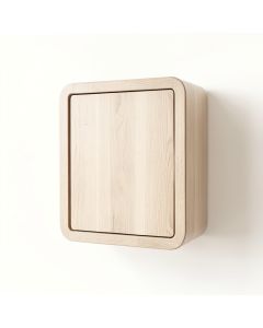 Moss Branch Wall-Mounted Laundry Cabinet - Beige (synthetic illustration; no displayed measurements)