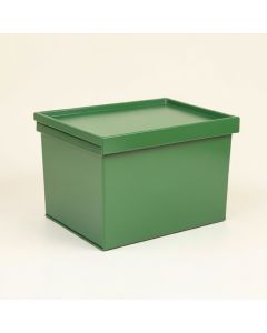 Dune Bluff Closed Outdoor Storage Box - Green (synthetic illustration; no displayed measurements)